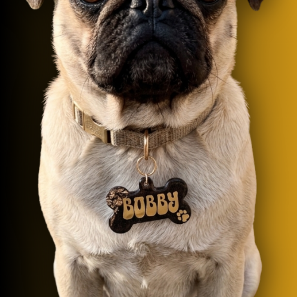 Placa Bobby