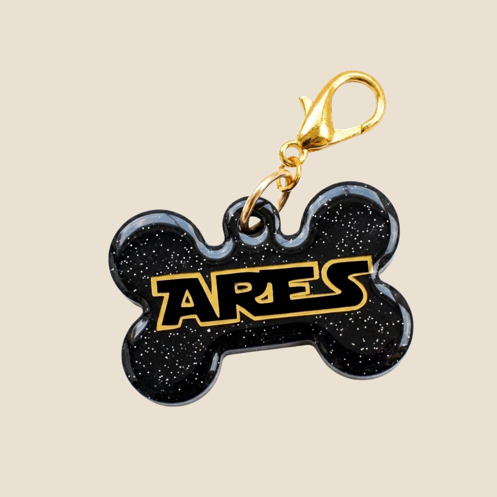 Placa Ares